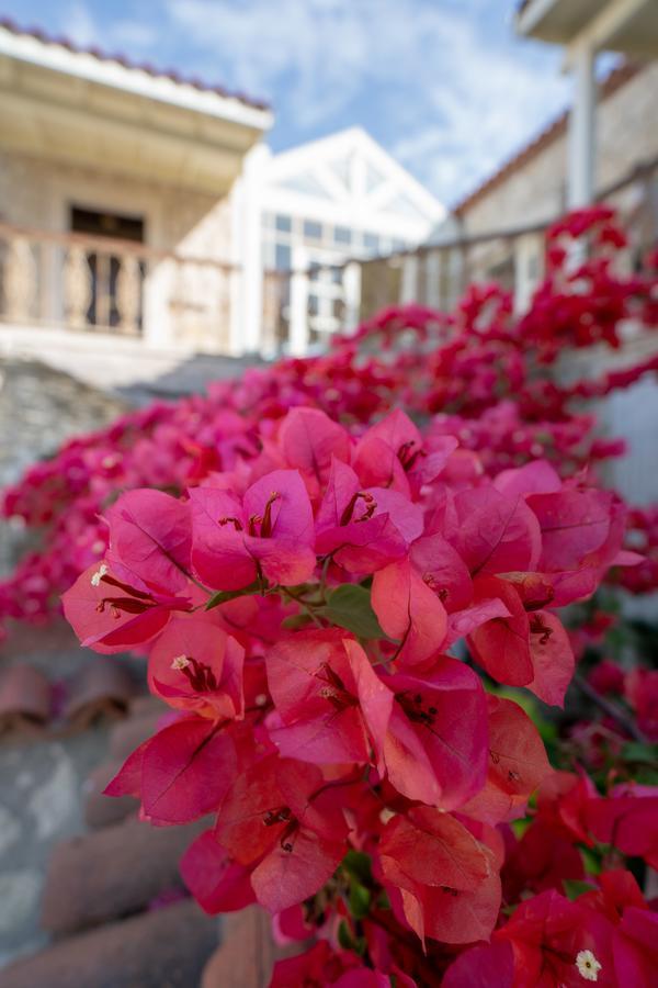 Nobela Hotel Alaçatı Buitenkant foto